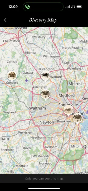 The Spider League screenshot 4 of 10