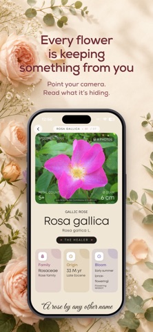 OnlyFlowers : Flower Finder Screenshot 5 of 8