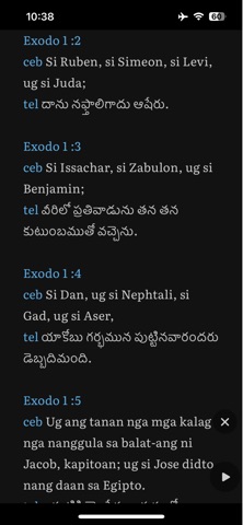Multi BibleRead Screenshot 7 of 8