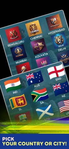 Cricket Board League screenshot