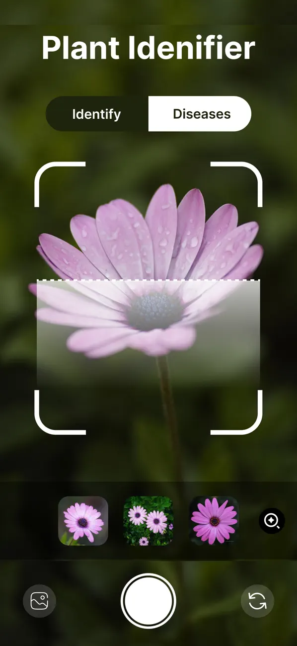 Screenshot #1 pour Plant Identifier: PlantInfo AI