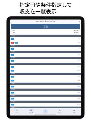 Money Manager - Expenses iPad screenshot