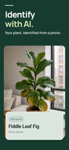 Listva: Plant Care & ID iPhone screenshot