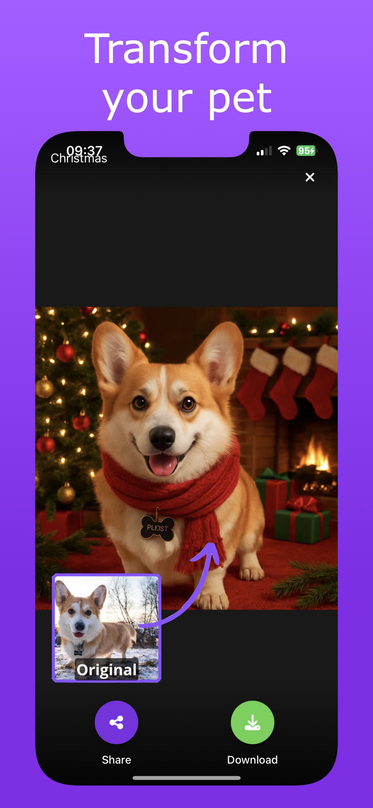 Find Cat Save Dog