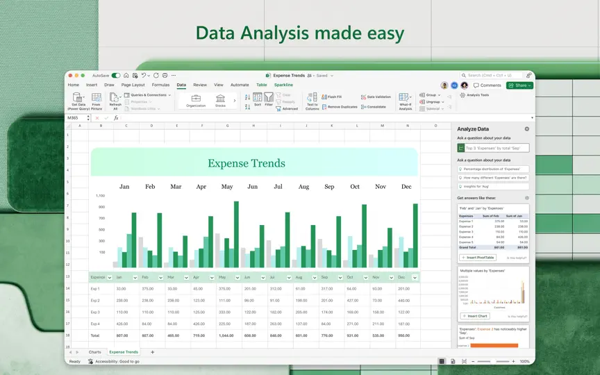 Microsoft Excel iPhone Screenshot 2