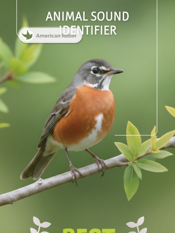 Animal Sound Identifier: AI iPad screenshot