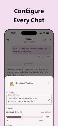 Reins: for Ollama & LM Studio iPhone screenshot 9