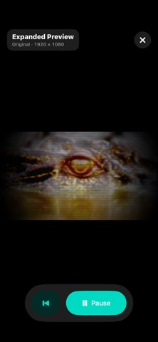 VHS FX Studio Screenshot 2 of 5