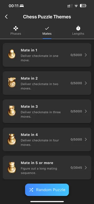 Chess Adventure screenshot 4