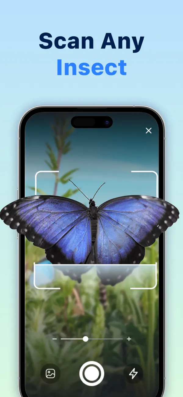 #3. Bug Identifier: Butterfly ID (iOS) Podle: Andrei Ivanou