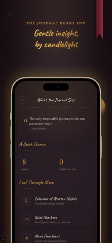 Voice Journal: AI Diary Screenshot 4 of 10