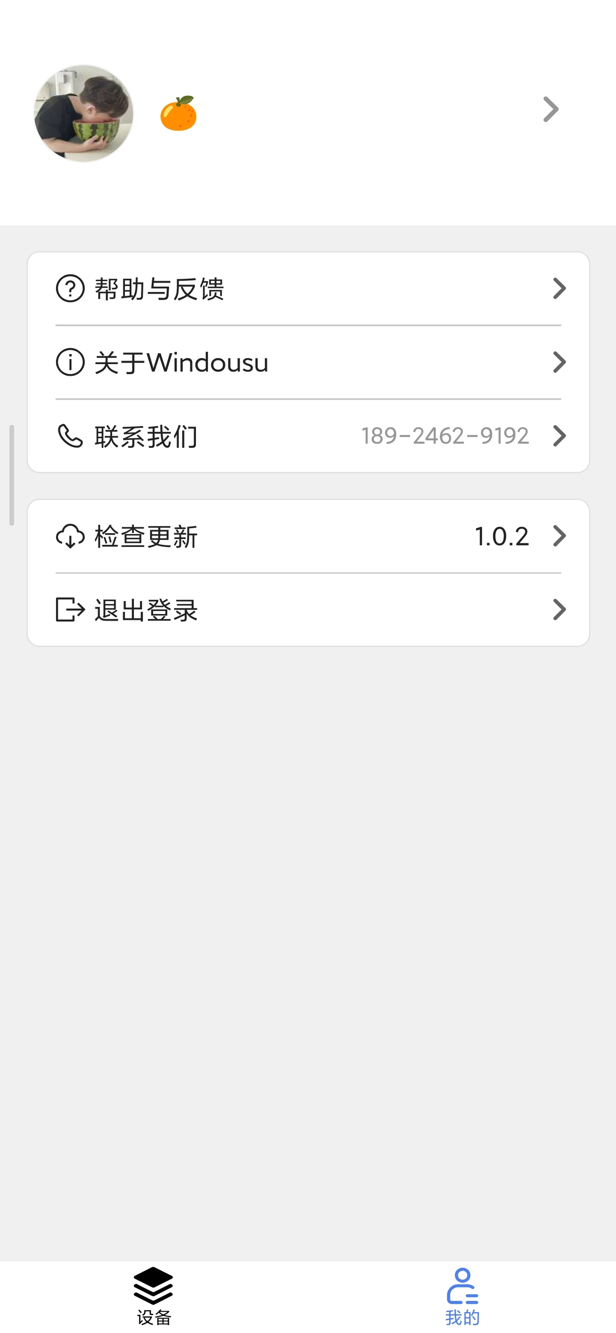 Windousu screenshot 4