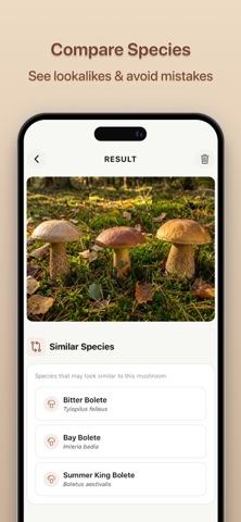 Mushroom Identifier & ID Scan Screenshot 4 of 6