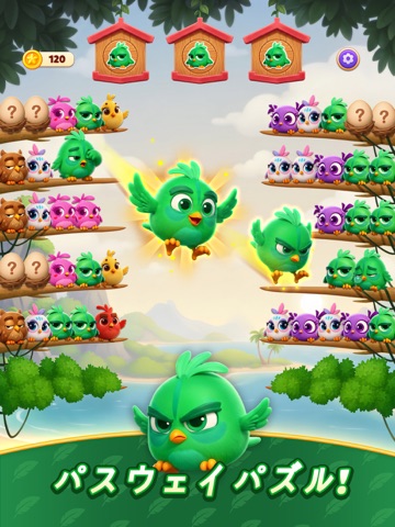 Chirpy Sort: Bird Color Puzzle iPad screenshot 5