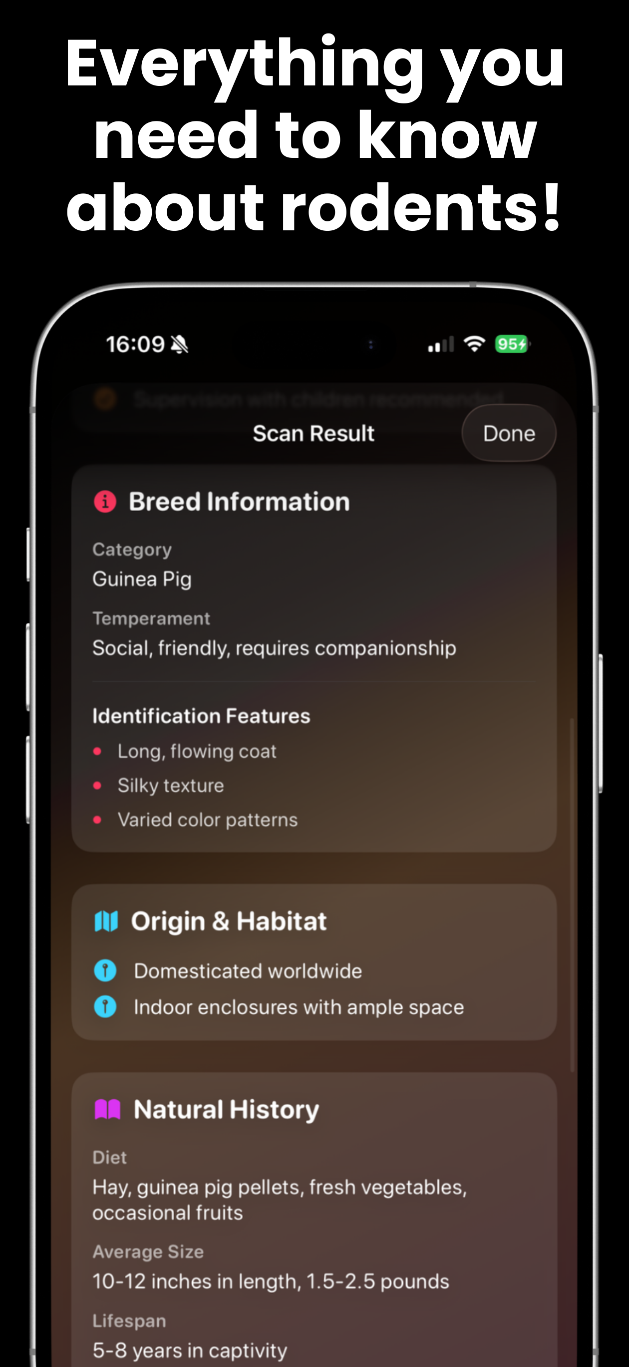 Hamster, Guinea Pig Identifier