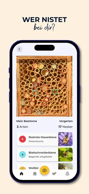 MyBeeHome: Wildbienen Zuhause screenshot 3