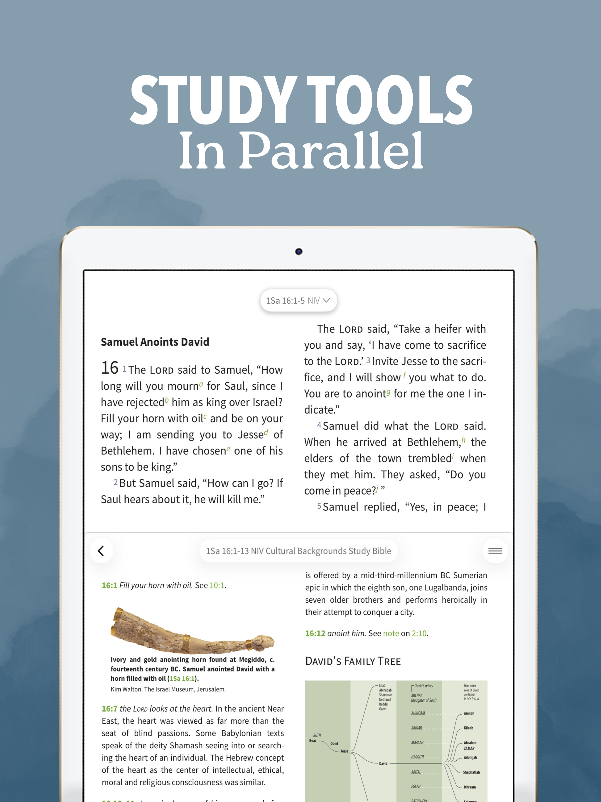 Bible App - Read & Study Daily screenshot 12