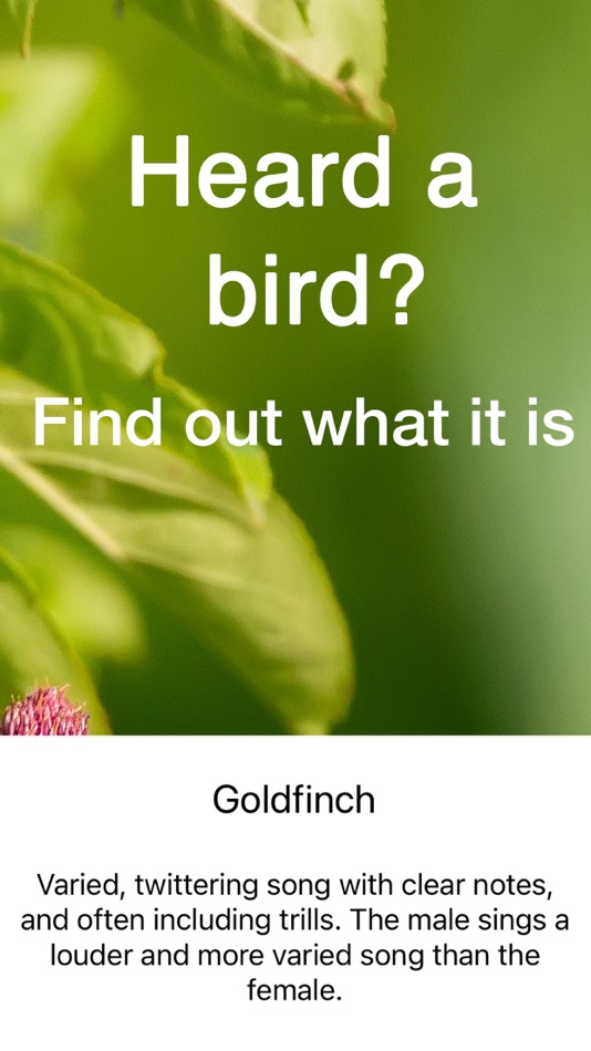 #9. ChirpOMatic Birdsong ID Europe (iOS) 来自: Spiny Software Ltd
