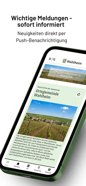 Wahlheim screenshot 2
