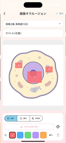 ANCHOKO Flashcards& ImageStudy Screenshot 4 of 8