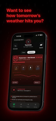 Teremok Screenshot 1 of 5