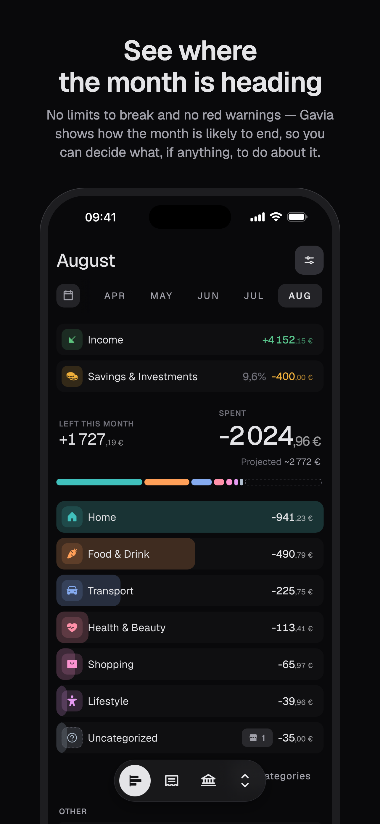 Gavia: Budget & Expenses