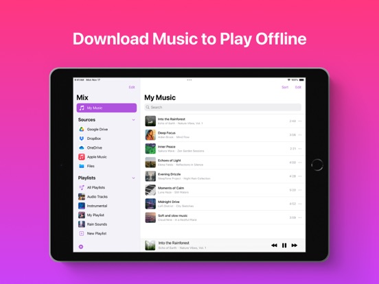 Offline Music Player - Mix iPad screenshot 1 - Music app