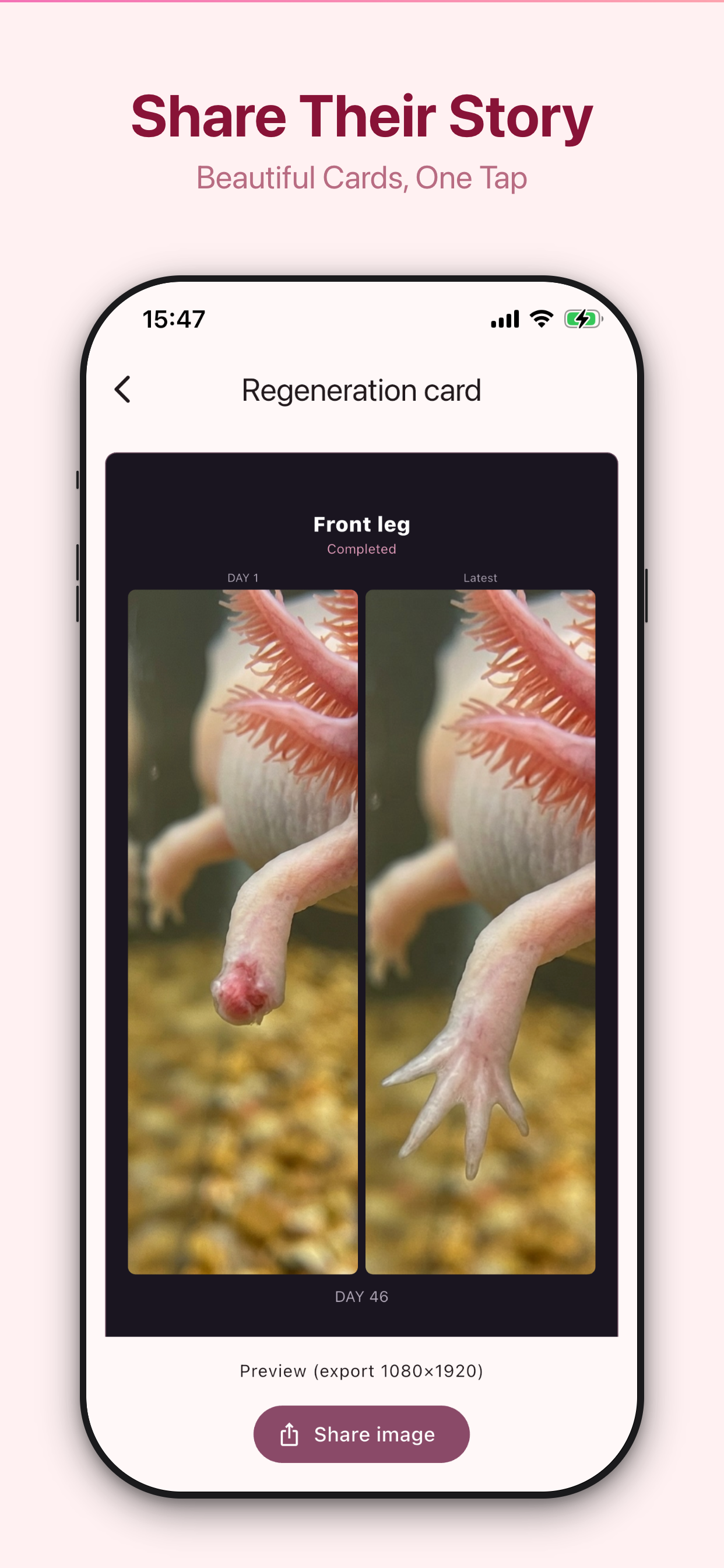 LotlLog screenshot 6