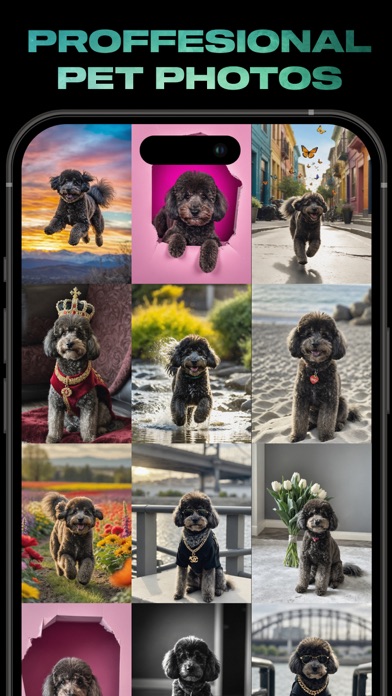 Trinity Pet AI Screenshot