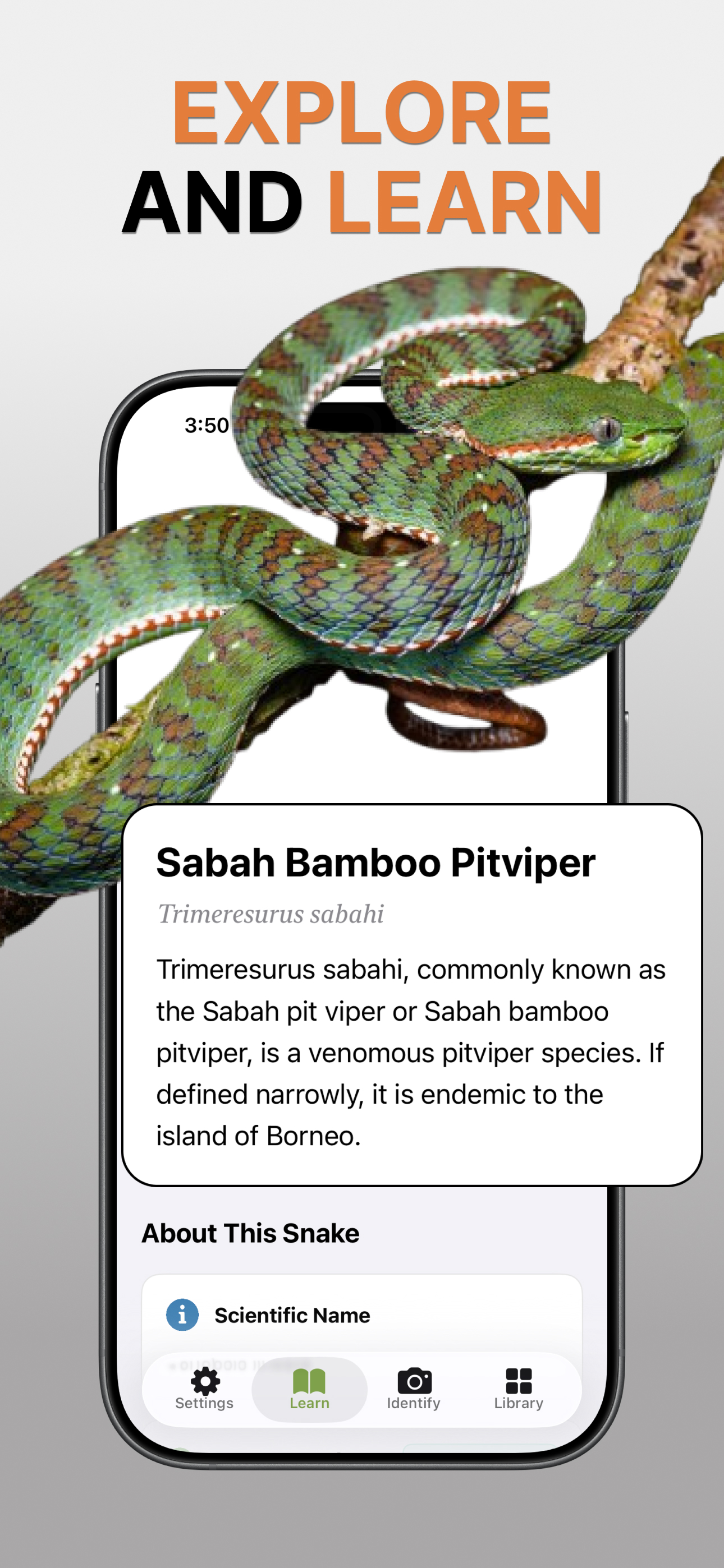 Snake Identifier: Scan & ID