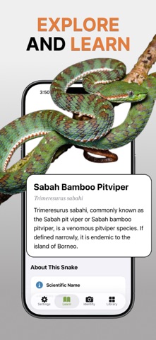 Snake Identifier: Scan & ID screenshot