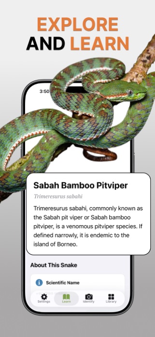 Snake Identifier: Scan & ID Screenshot 5 of 5