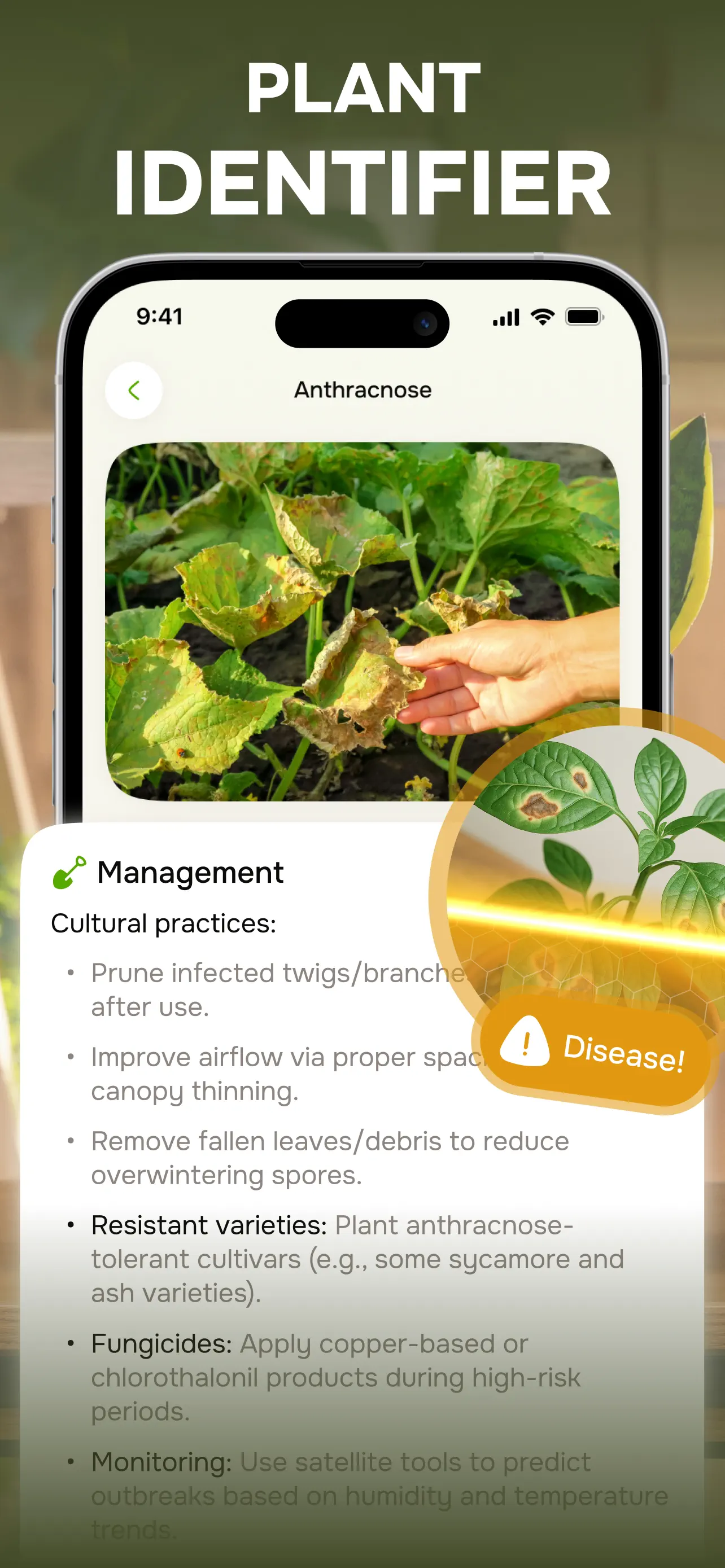 Mushroom ID & Plant Identifier screenshot 3