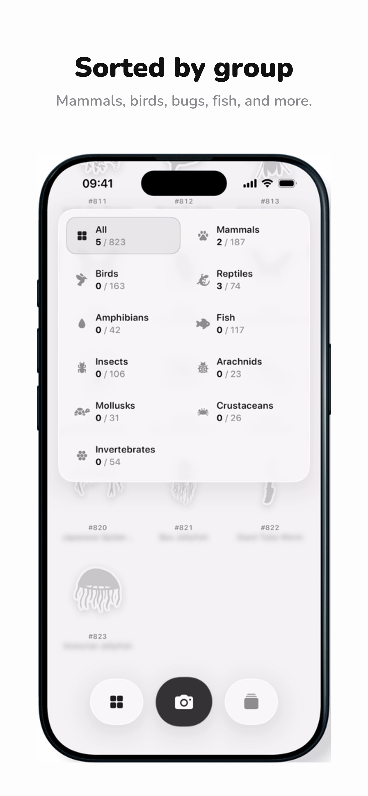 Gotcha: Animal Identifier