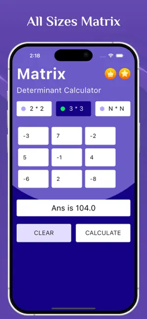 Matrix Determinant Calculator screenshot 4
