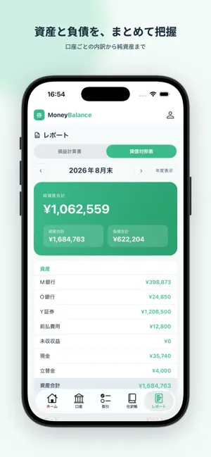 Money Balance screenshot 4