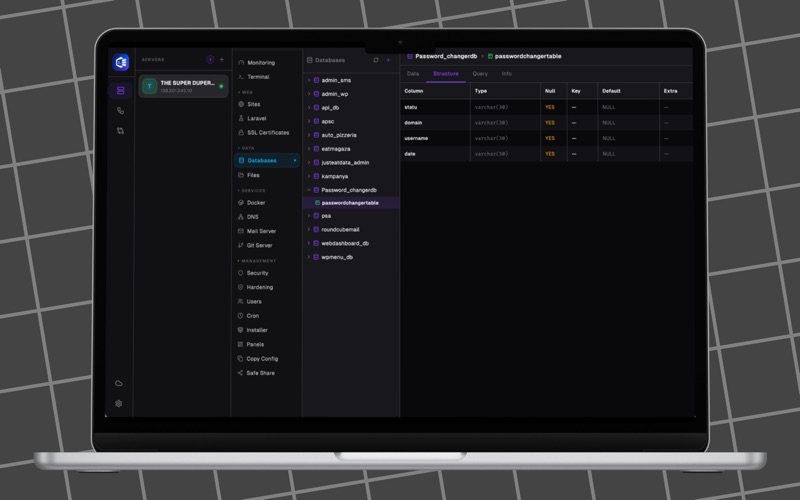 Local Panel screenshot