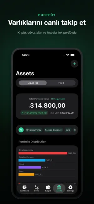 Parametre: Budget, Gold, Debt screenshot 3