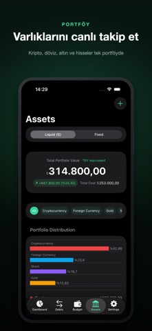 Parametre: Budget, Gold, Debt Screenshot 3 of 5