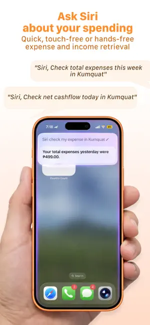 Kumquat: Spending Insights screenshot 1