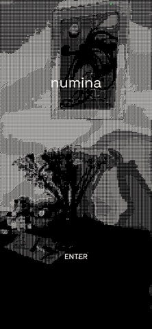 Numina AR screenshot