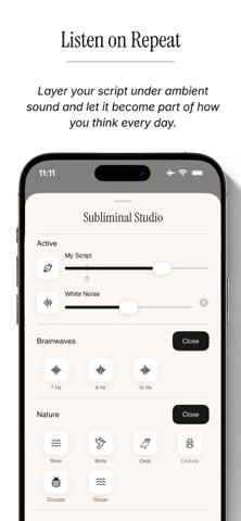 Scripted: Manifest Your Vision screenshot