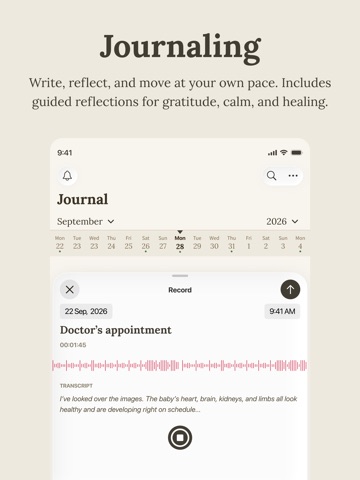 Alongside - Pregnancy Journal iPad screenshot