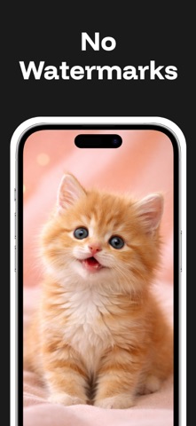 SSSTik Lite: TT Video Saver screenshot