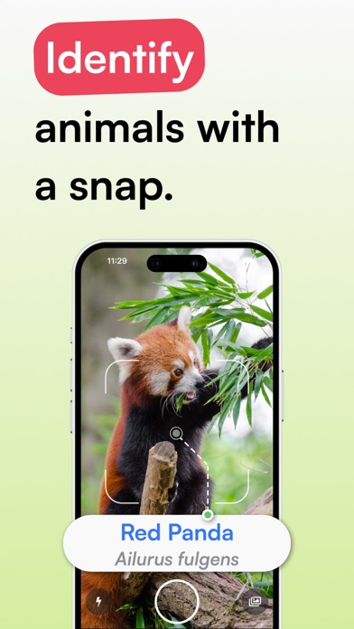 Animal Identifier - iSpecies Screenshot