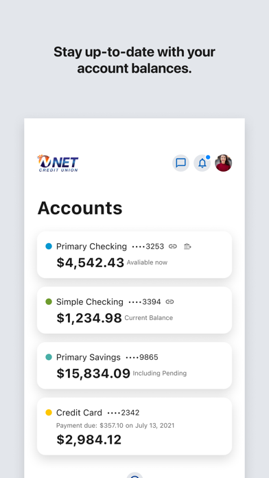 NET Credit Union Screenshot 5 of 10