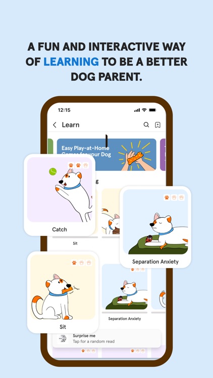 Sploot | Dog Walking, Grooming