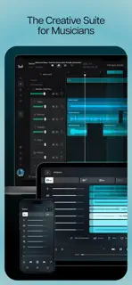 Moises: The Musician's App screenshot 10