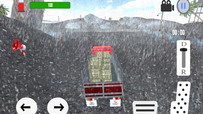 Truck Driver Simulator extreme Screenshot