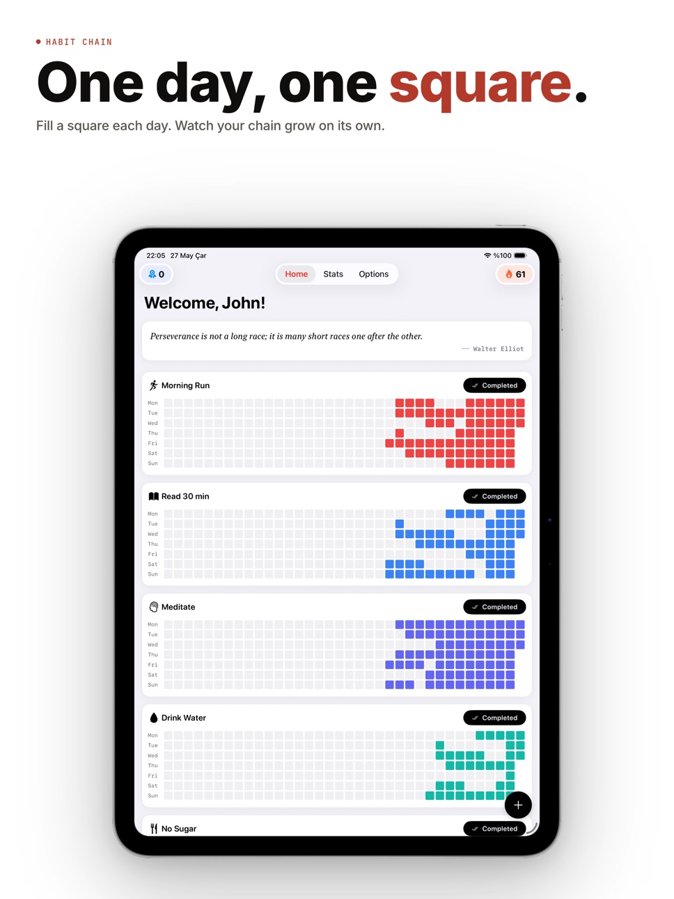 iPad screenshot
